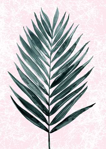 minimal plant2