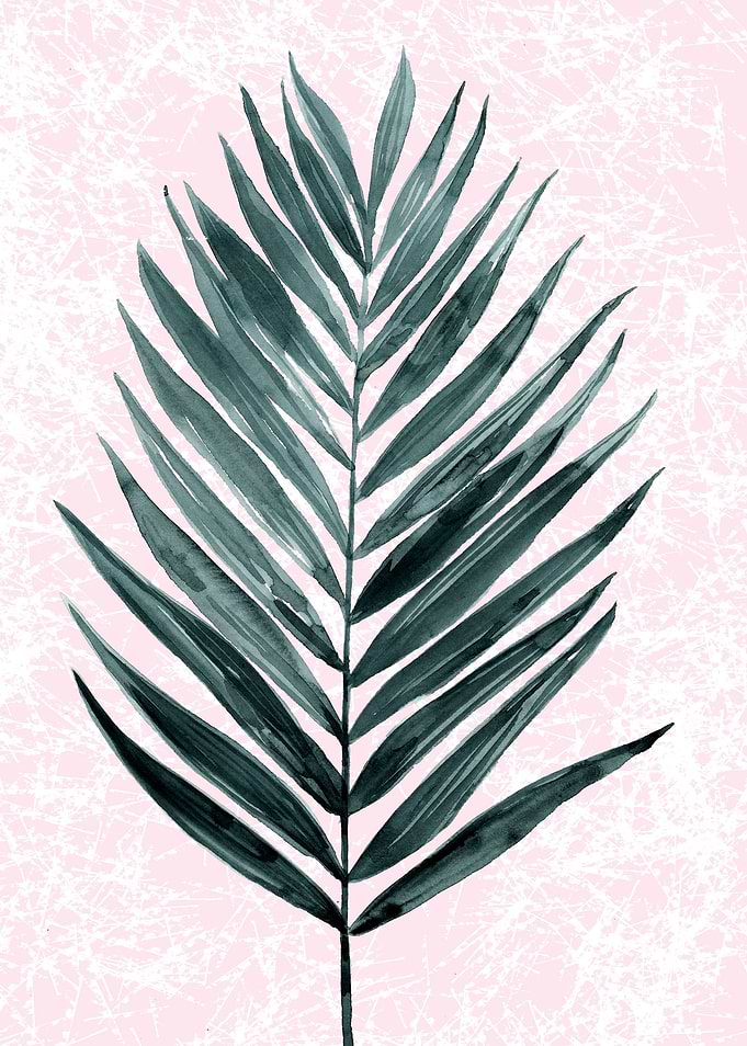 minimal plant2