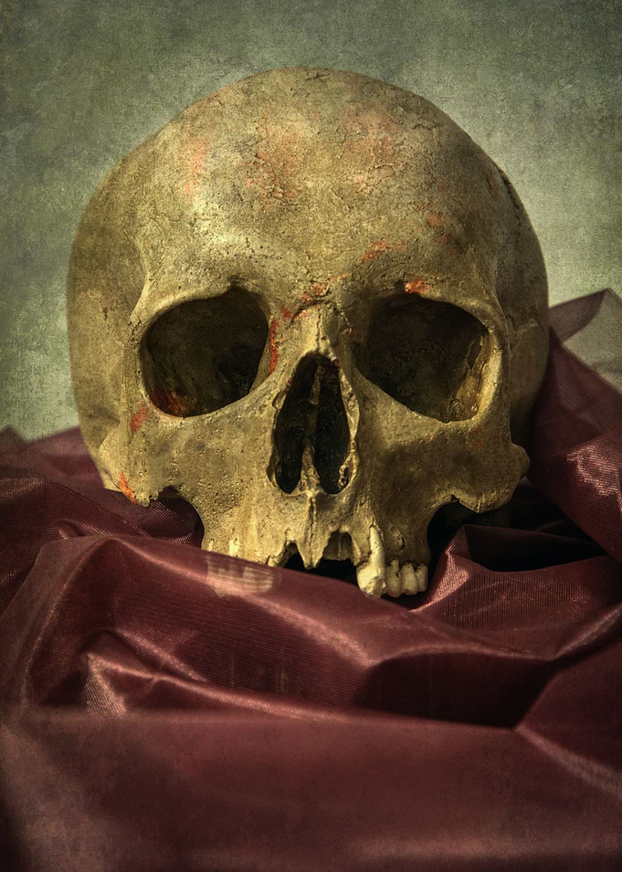 Still life with male skull and red silky fabric