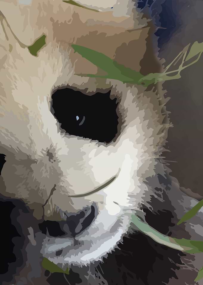 Lil Panda
