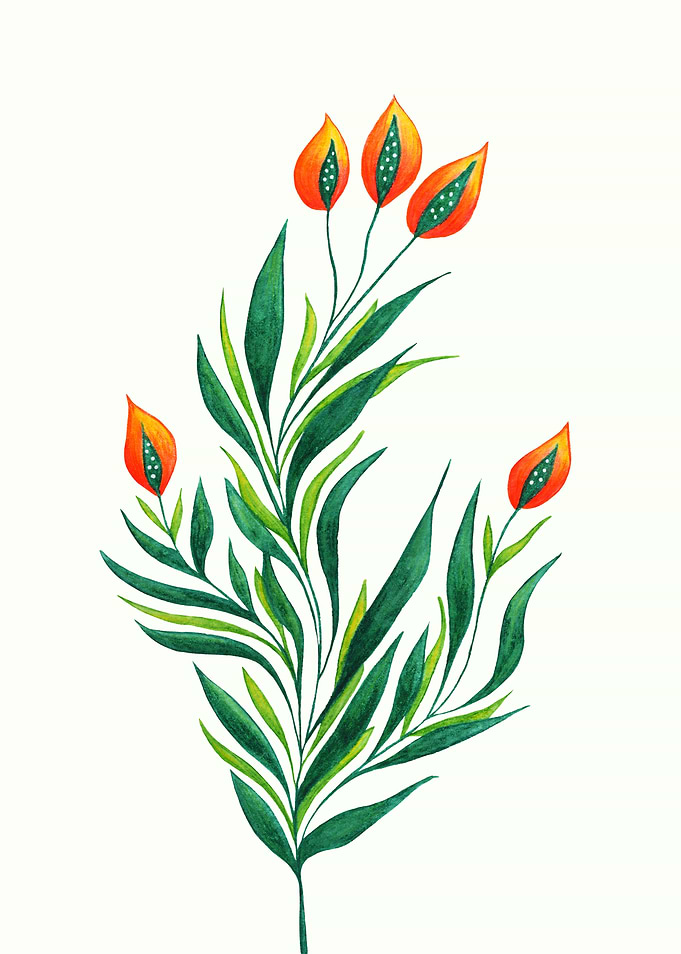 Green Plant With Orange Buds