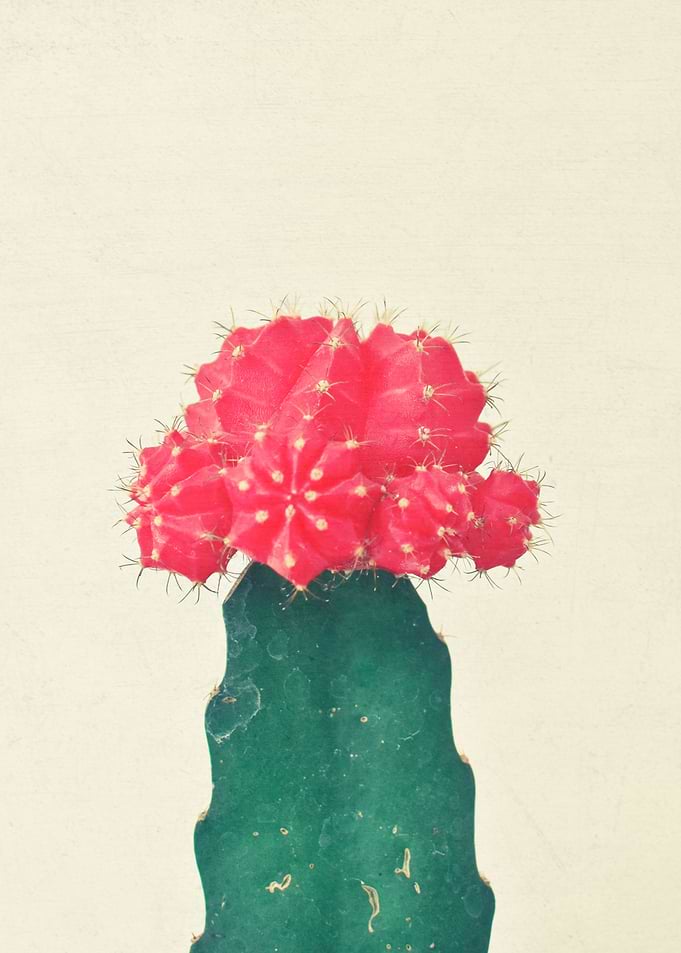 Red Plaid Cactus