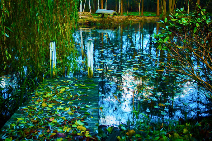 The Marsh
