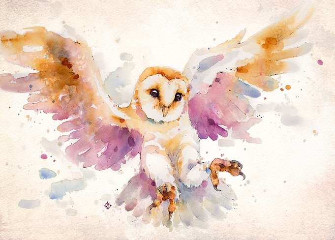 Twilight Owl