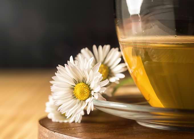 Chamomile