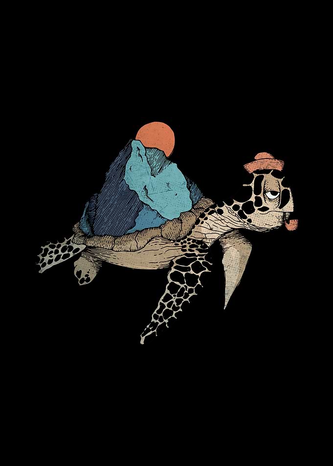 traveller