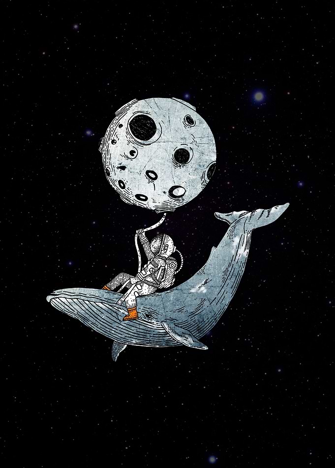humpback whale and the astronaut