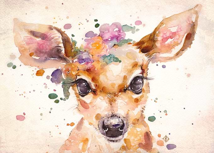 Little Deer