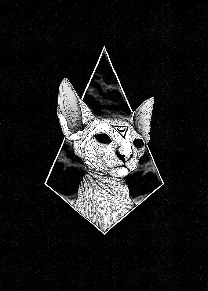 dark cat