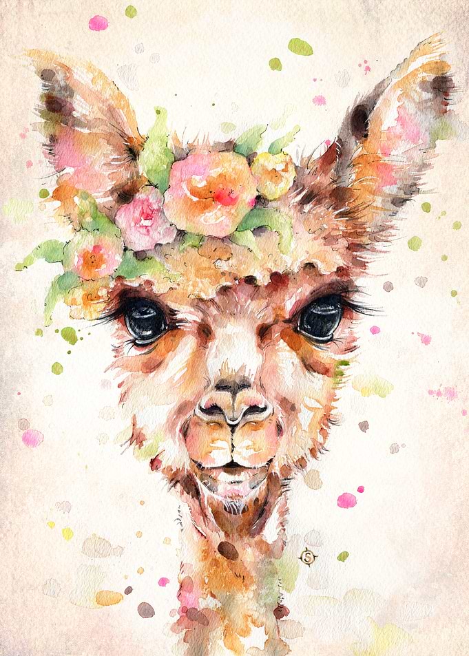Little Llama (water colour art)