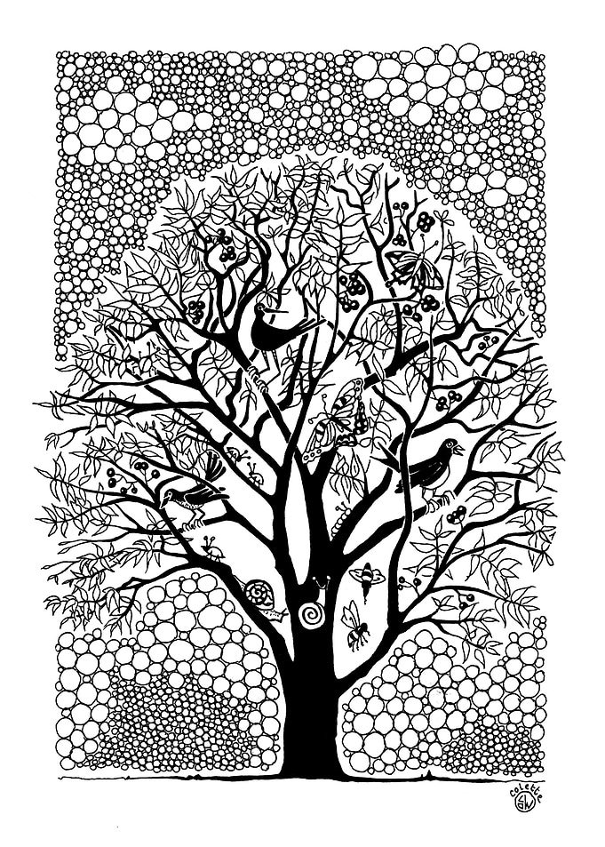 NOT just a Tree