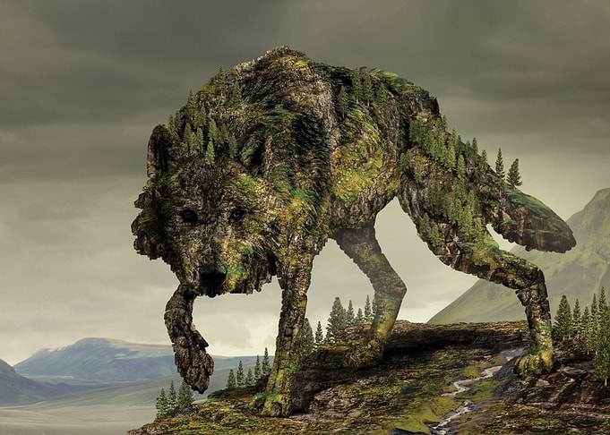 wolf
