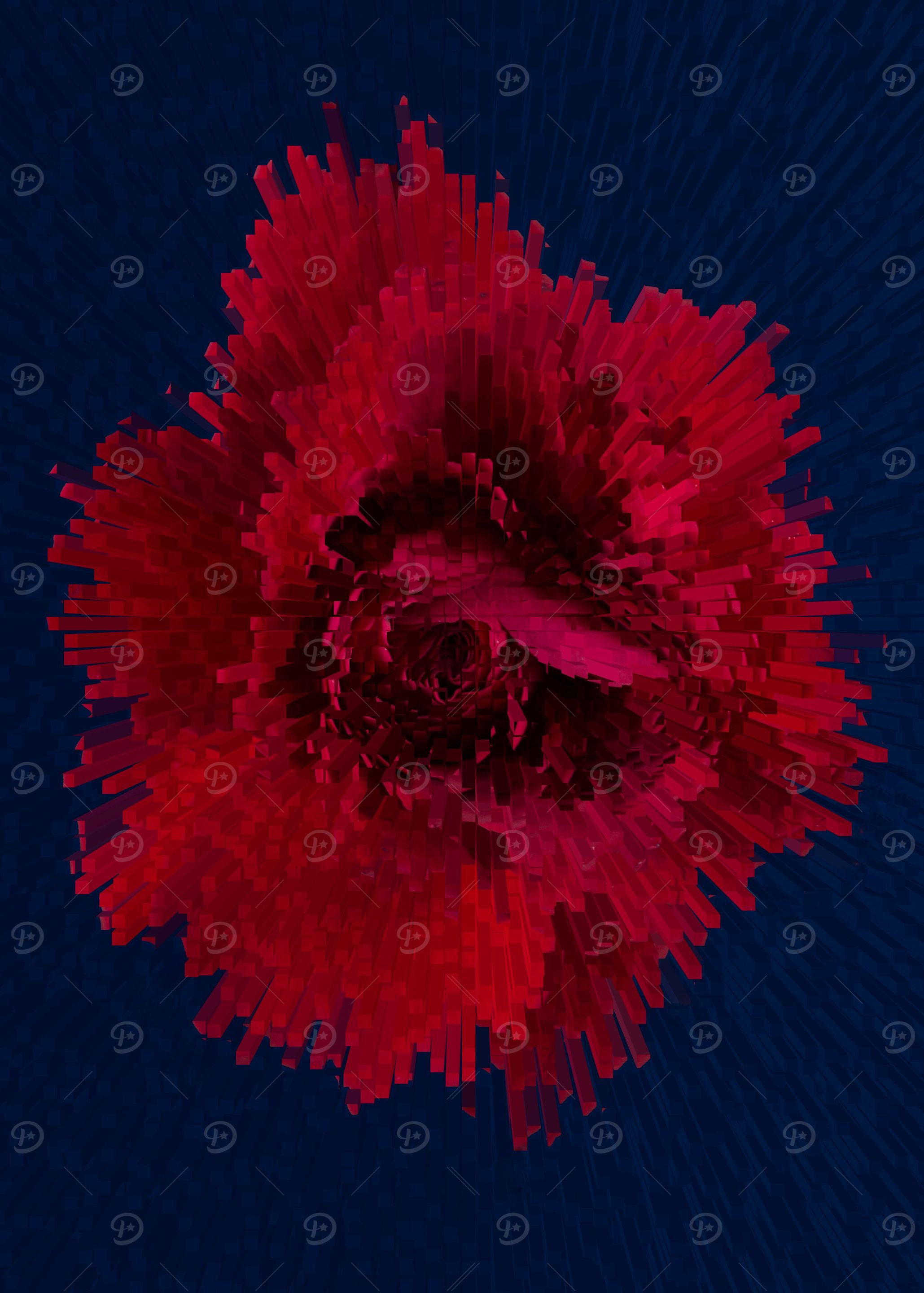 Red rose