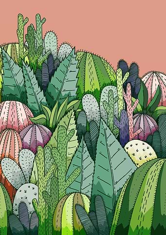 Cactus Garden