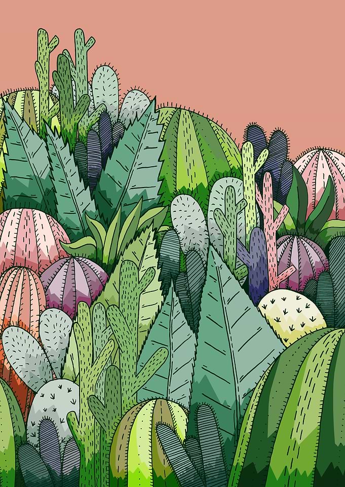 Cactus Garden
