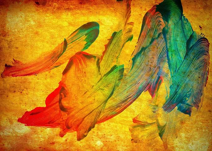 Anna's Bird Of Paradise