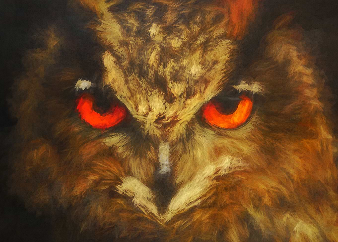 The owl