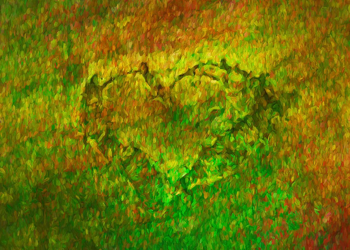 The heart
