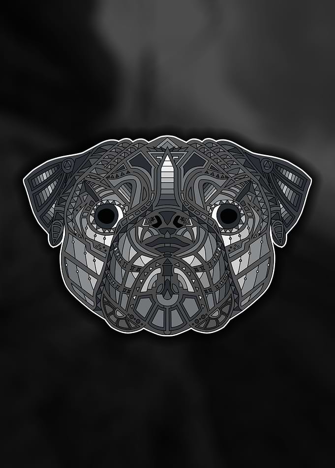 Pug