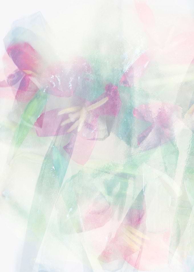 Tulips pattern