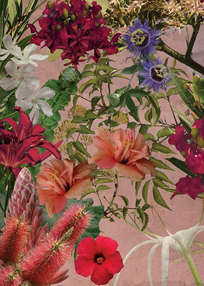 flower 1