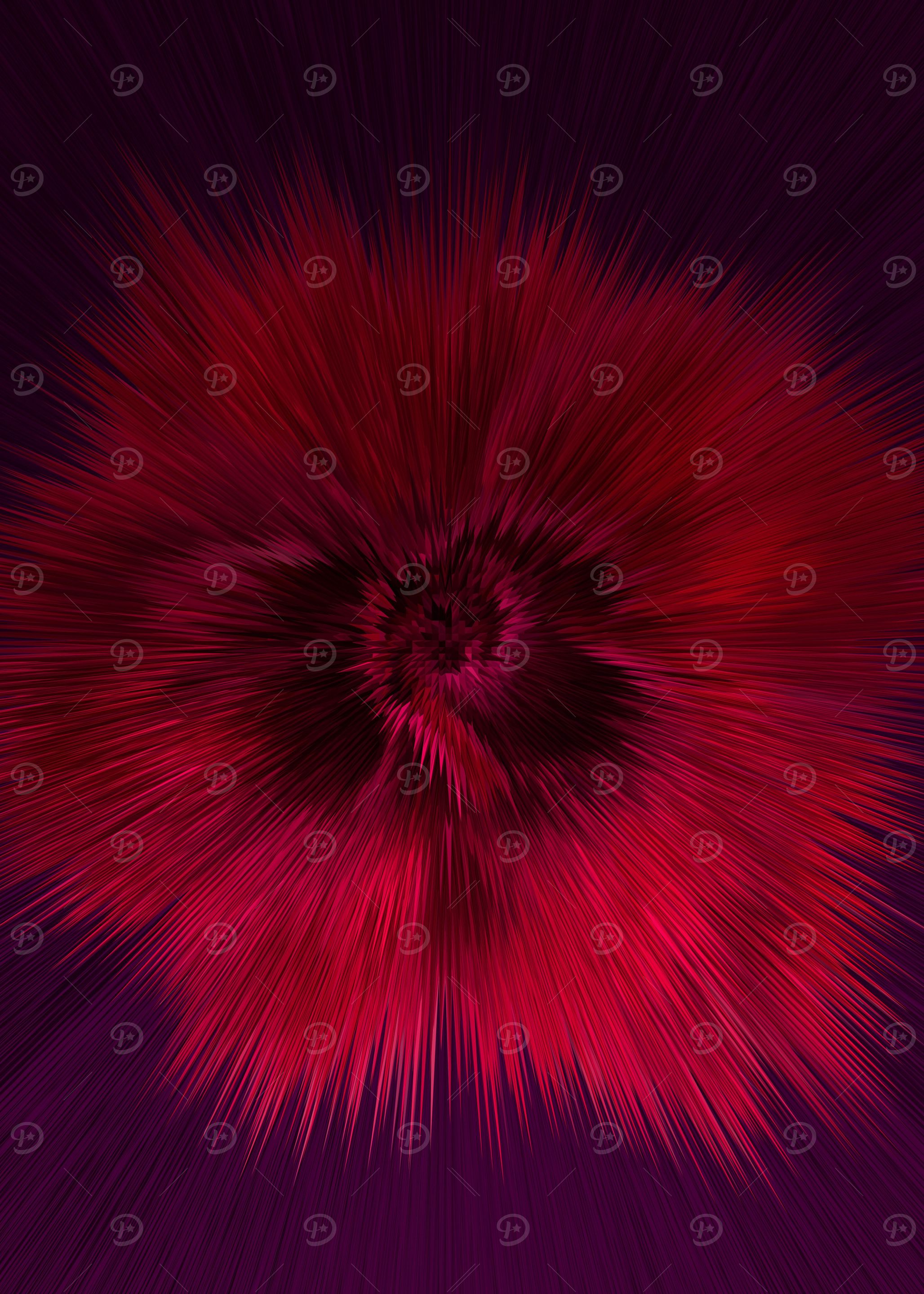 Red rose