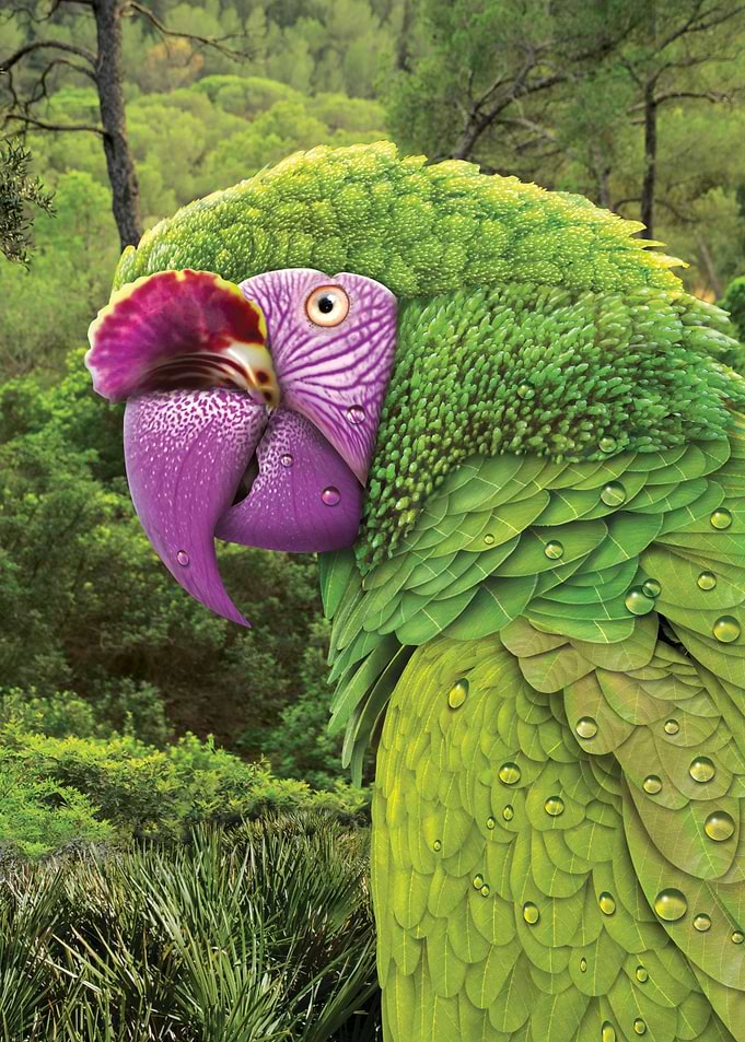 parrot