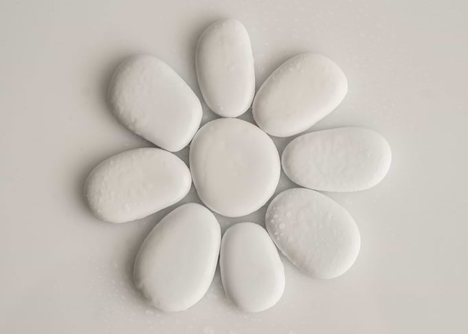 stoneflower