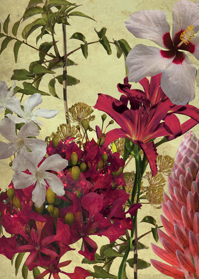 flowers 4