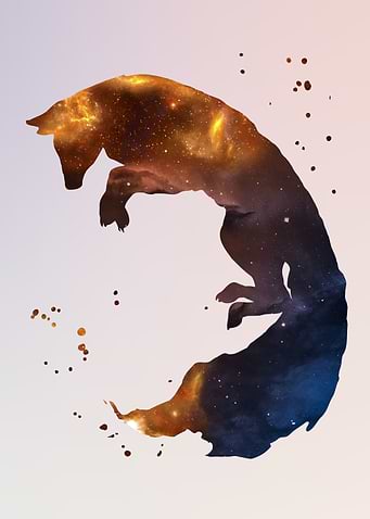 Firefox Nebula