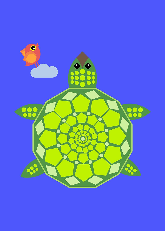 Miss. Turtle