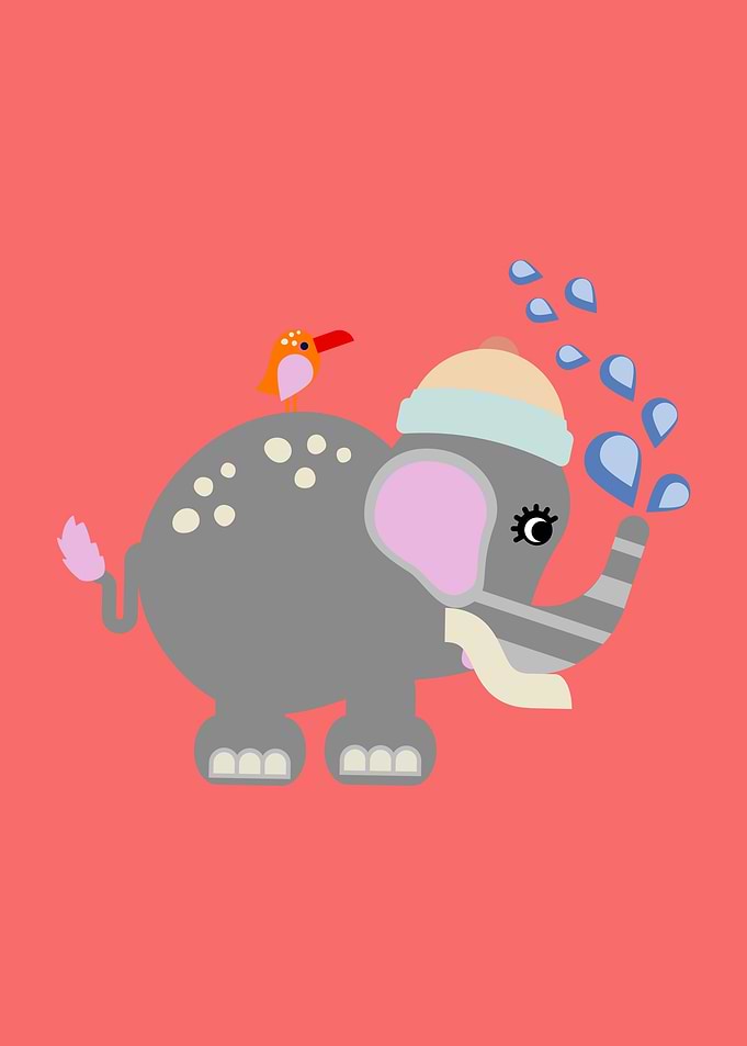 Baby Elephant