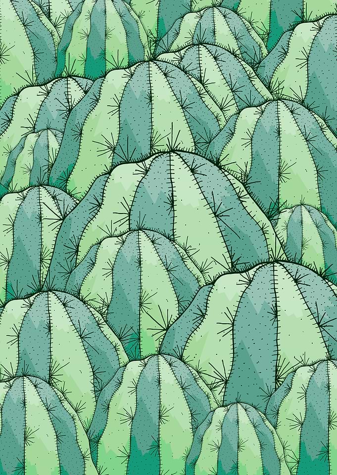 Cactus pattern