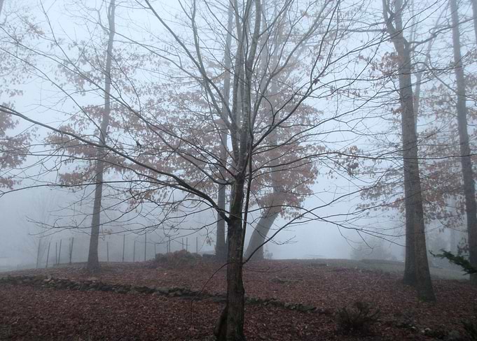 Foggy Day