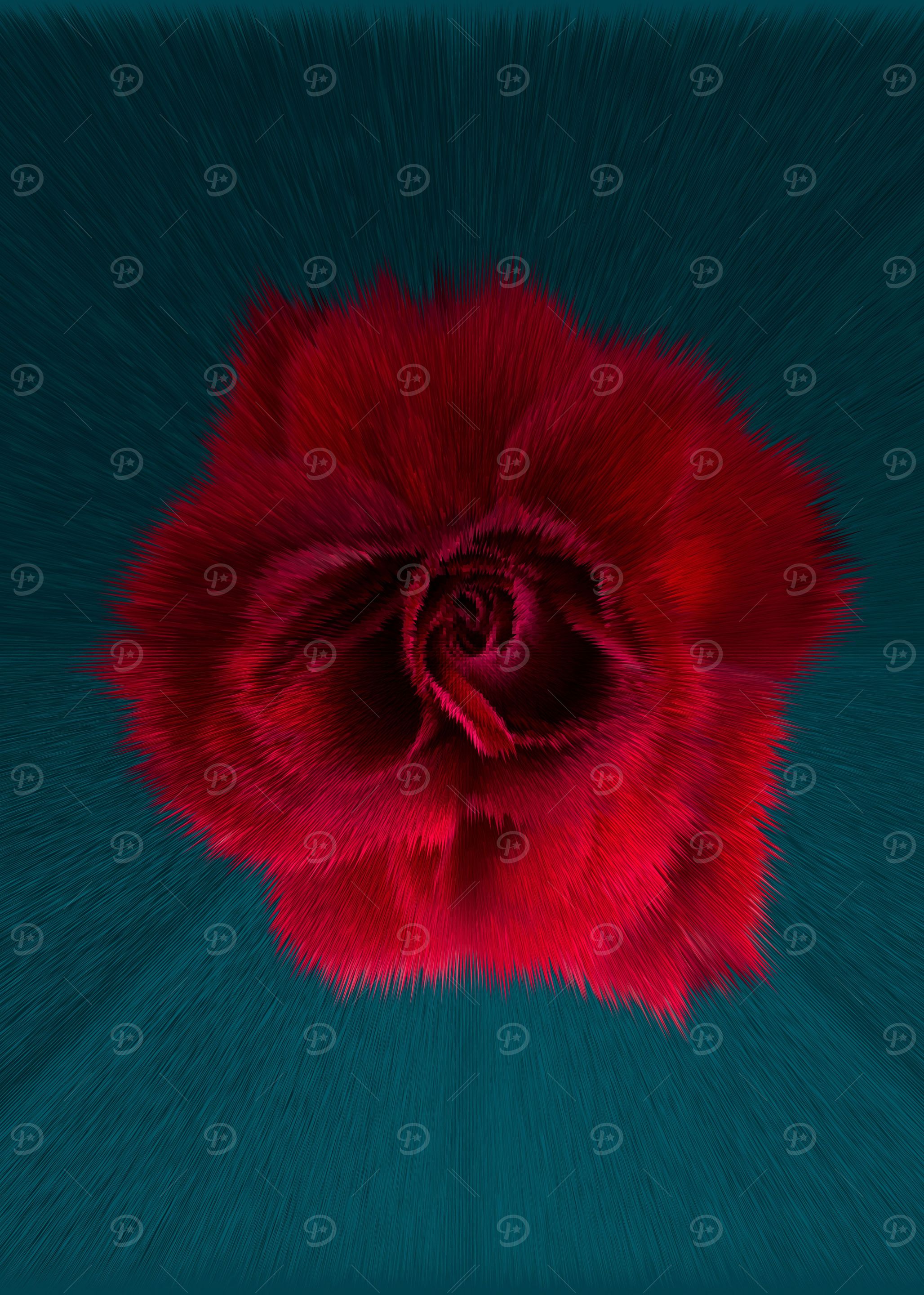 Red rose