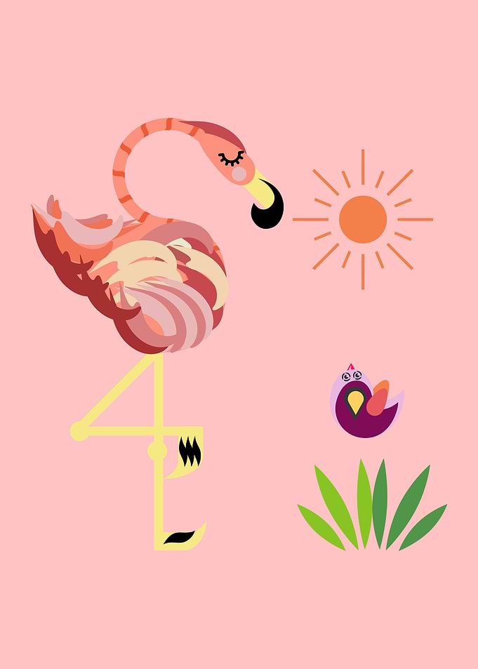 Mr. Flamingo
