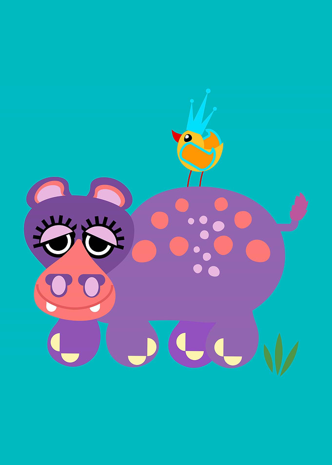Baby Hippopotamus
