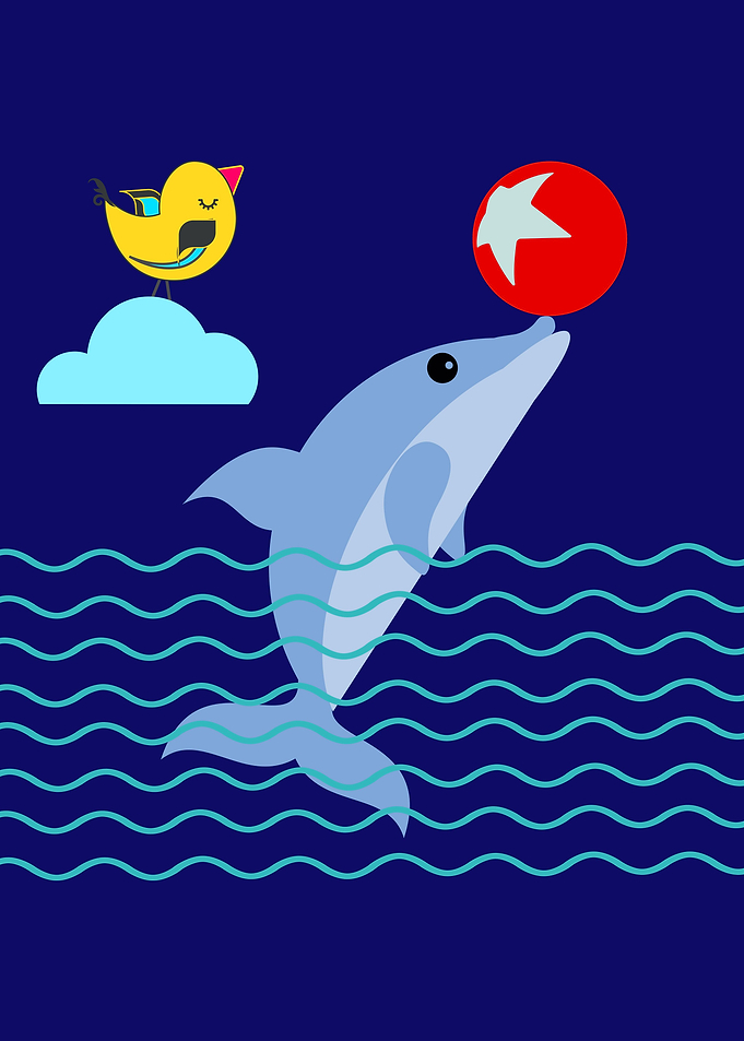 Baby Dolphin
