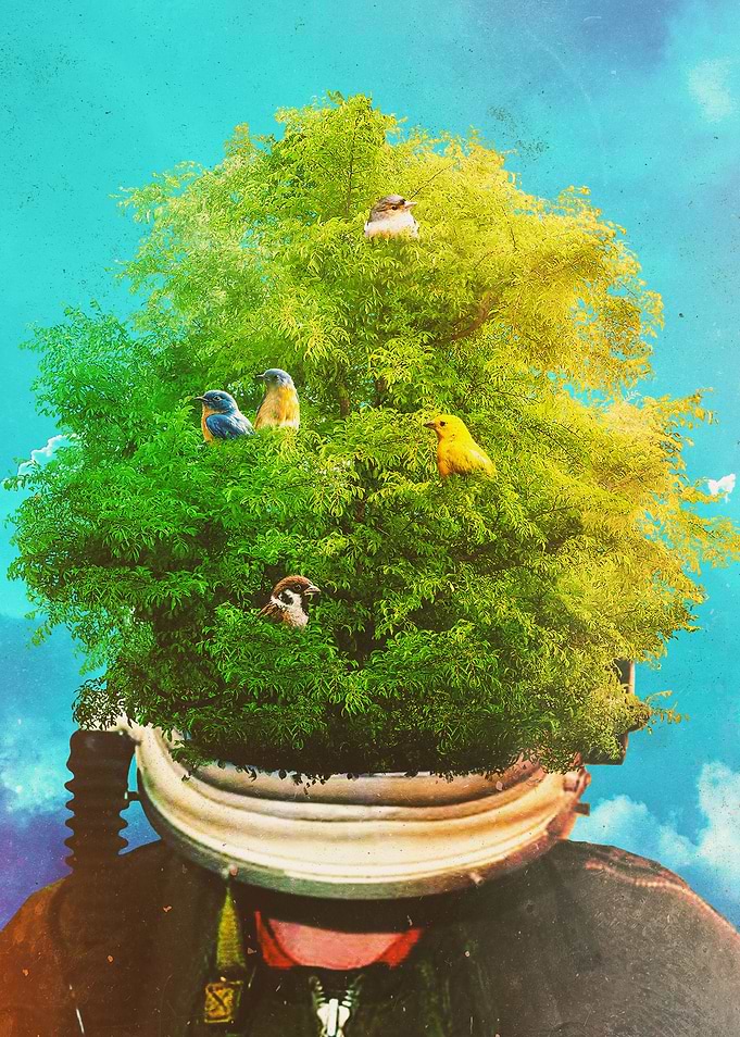 The Refuge