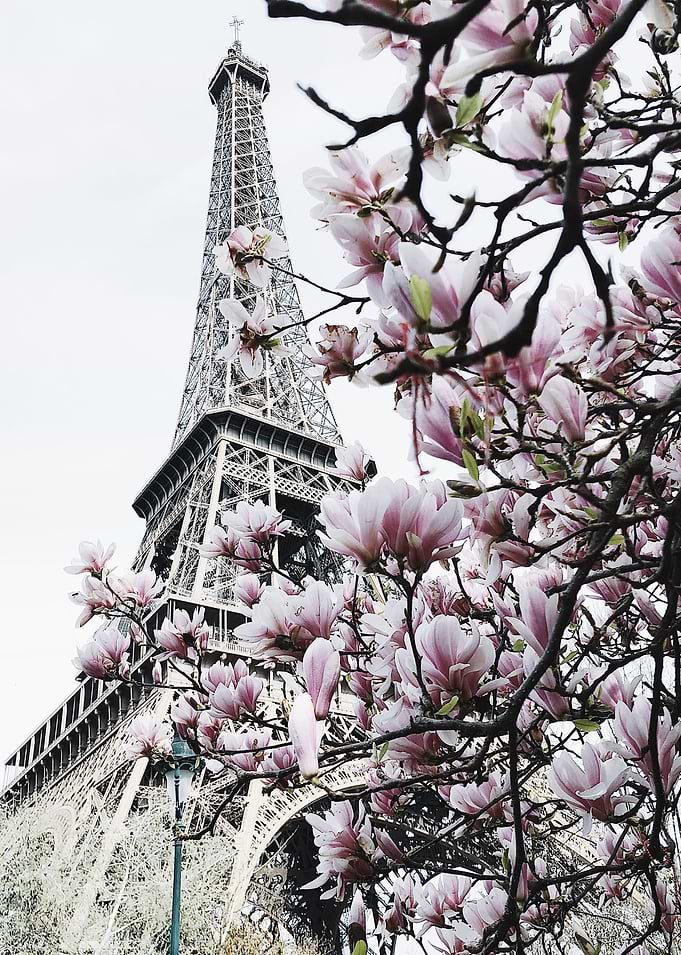 Blooming