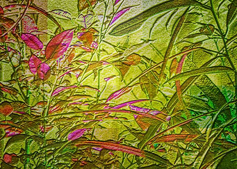 Foliage