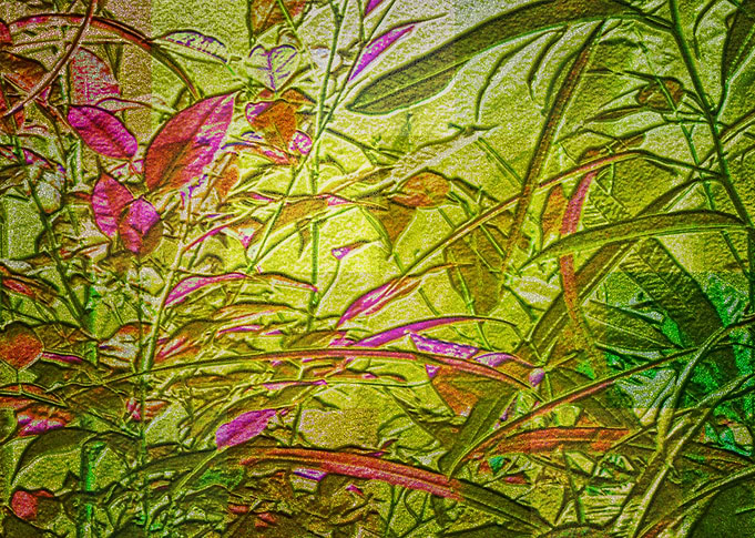 Foliage