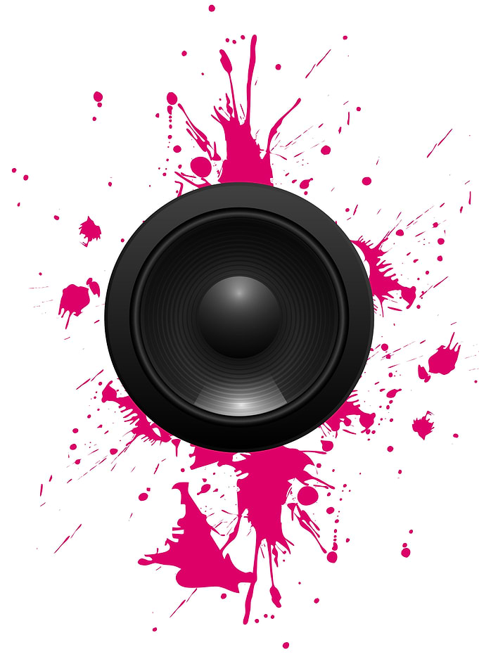SPEAKER