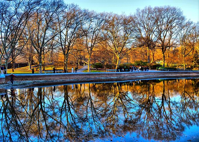 central park 4