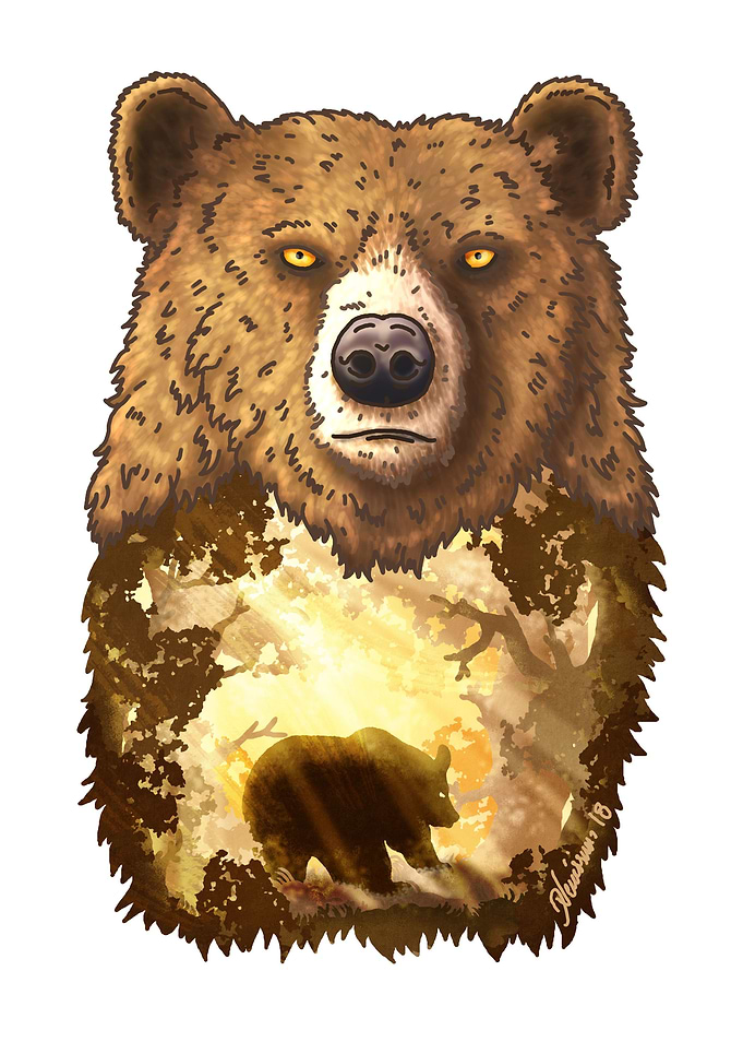 Brown Bear