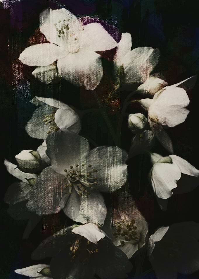 white flowers