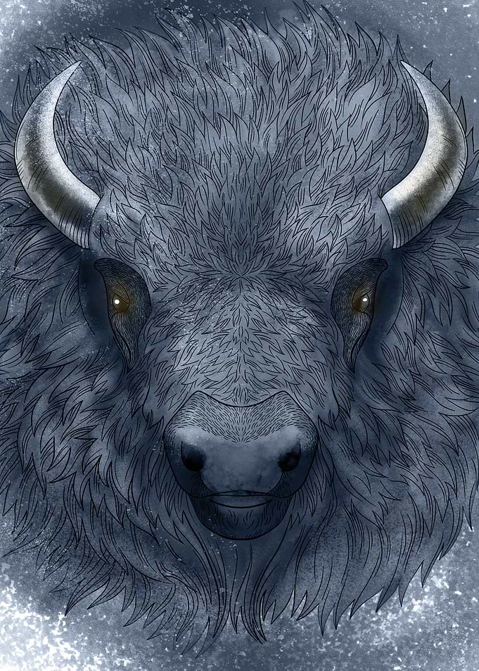 Wild Bison