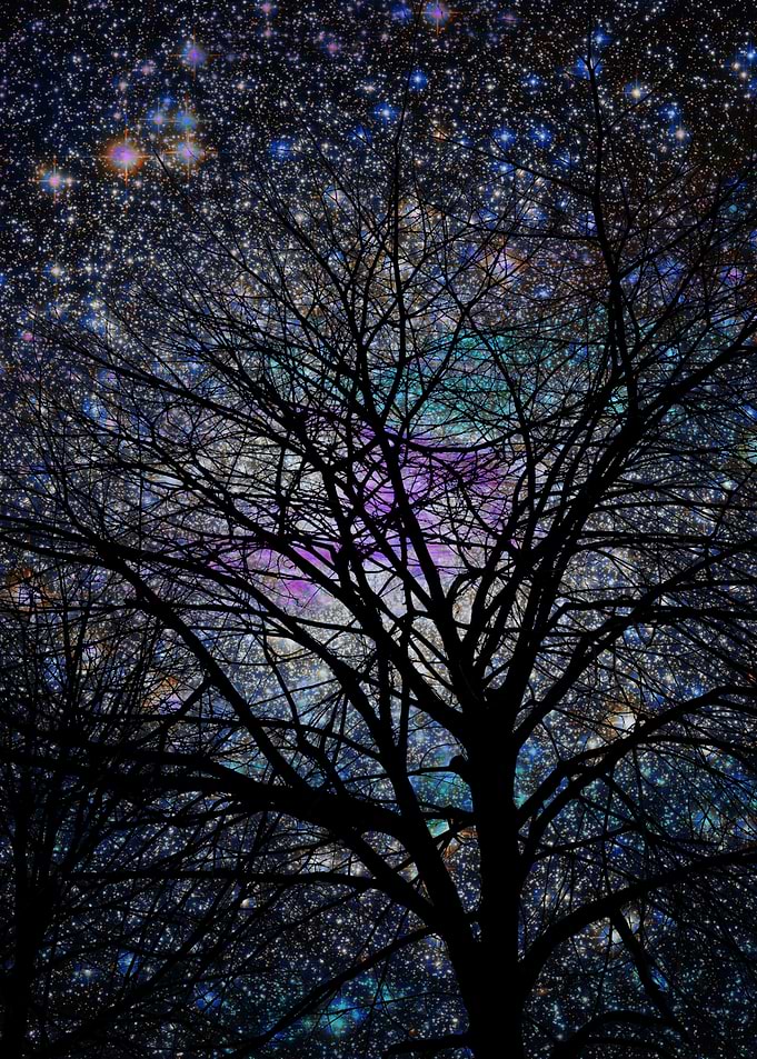 magical night