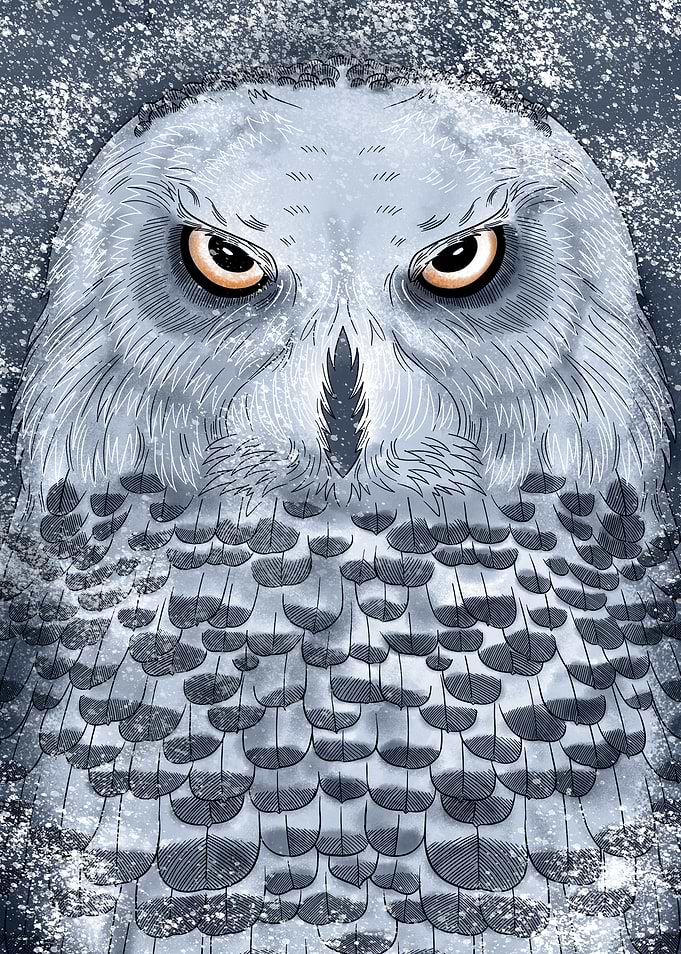 Nordic Owl