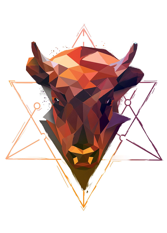 Bison